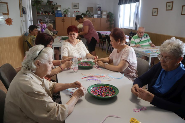 IDŐSEK NAPPALI ELLÁTÁSA – társ a magány ellen